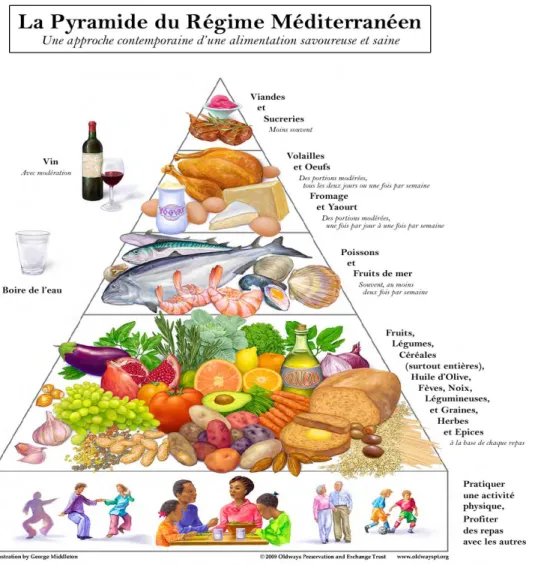 Figure  1.  Pyramide  de  l'alimentation  méditerranéenne  traditionnelle.  ©  2009  Oldways  Preservation &amp; Exchange Trust