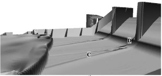 Figure 11: Simulation of the January 3 rd  2003 flood event - 175 m³/s 