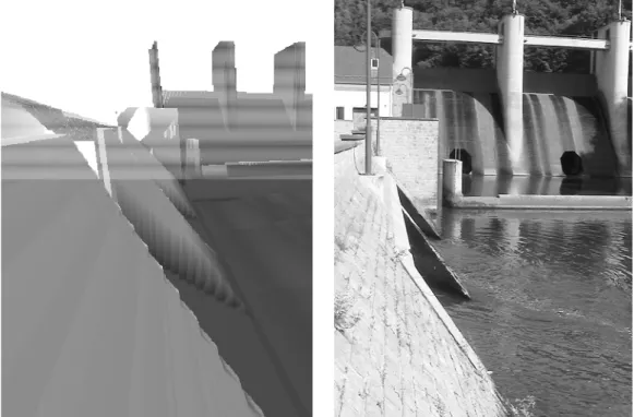 Figure 5: 25 cm digital elevation model of the dam and near downstream 
