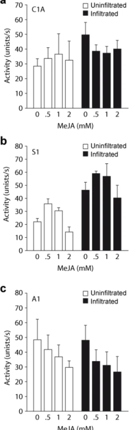 Figure 4.3 Major protease activities in crude protein extracts of control and agroinfected N