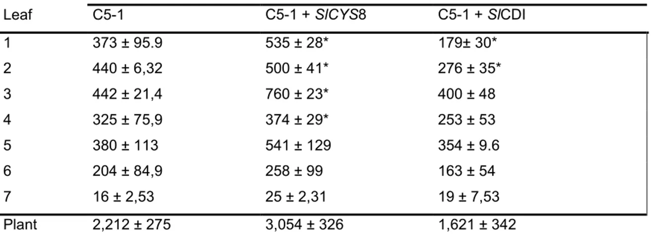 Table 3.1 C5-1 yield (µg) per leaf and per plant in N. benthamiana plants transiently expressing C5-1  alone or C5-1 with SlCYS8 or SlCDI 