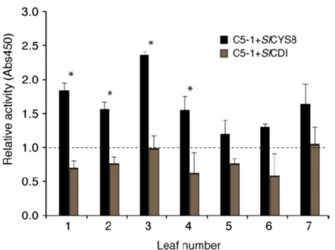 Figure S3.1 Activity levels of C5-1 along the leaf age gradient. Relative C5-1 activities in protein extracts  from leaves transiently expressing the antibody alone or along with  SlCYS8 or SlCDI were estimated by  ELISA,  on  a  total  soluble  protein  b