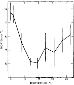 Figure 1.8. Raccourcissement musculaire (% de la longueur initiale) en fonction de la température à  laquelle sont placés les muscles durant la période pré-rigor (Locker et Hagyard 1963)