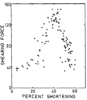 Figure 1.9. Force de cisaillement (shearing force) en fonction du degré de contraction (percent  shortening; Marsh et Leet 1966)