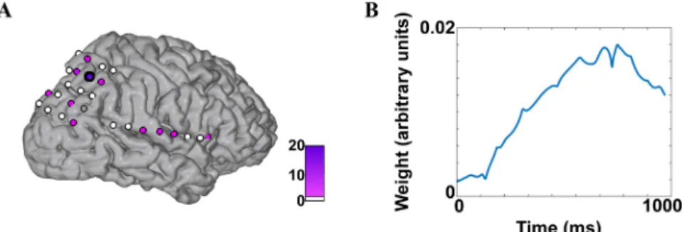 Fig. 3. Illustration of the outputs of the MKL model. (A) Parietal view of the surface of the cortex of patient P1