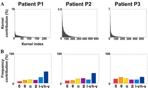 Fig. 4. Sparseness and frequency localization of the kernel contributions, for each patient