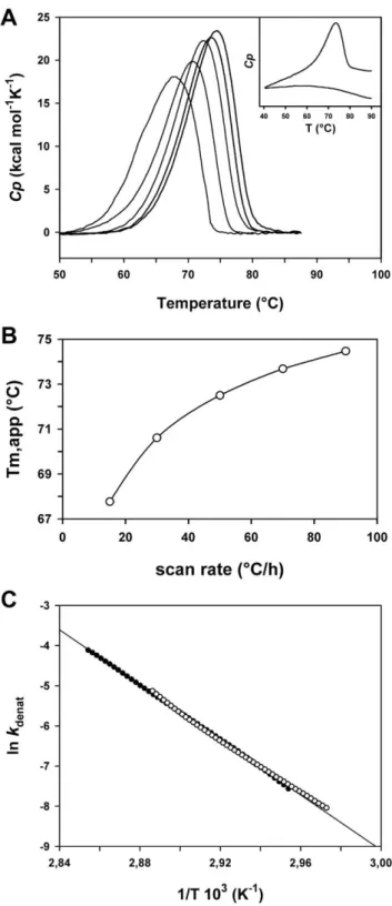 Figure 2. Differential scanning calorimetry analysis of LipA n . A) DSC thermograms of LipA n unfolding in 30 mM MOPS, 1 M  3-(1-pyridinio)-1-propanesulfonate, pH 8.0