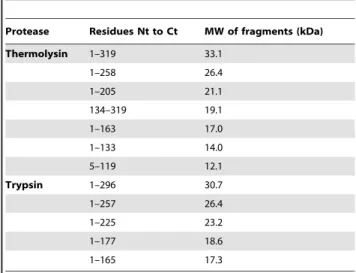 Table 2. Limited proteolysis fragments of LipA i that were detected through MS analysis.