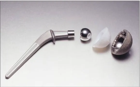 Figure 5 : Les différentes composantes d’une prothèse de la hanche utilisée lors de  l’arthroplastie totale 