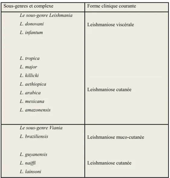 Tableau 2 : Classification simplifiée du genre Leishmania 