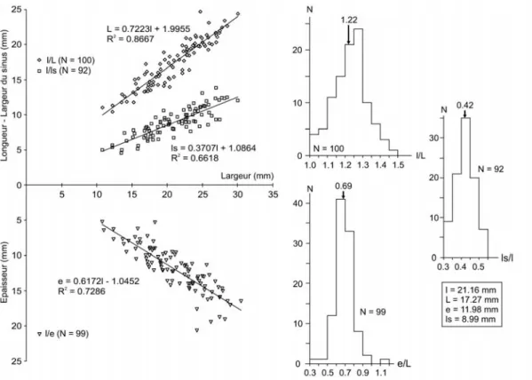 Fig. 2. — Cleiothyridina blacourti n. sp. Scatter diagrams of shell width to shell length, shell width to sulcus width and shell width to shell  thickness; frequency diagrams of the following ratios: shell width/shell length, shell thickness/shell length, 