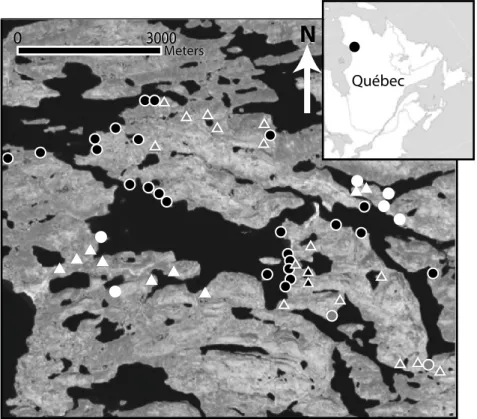 Figure 3.1 WorldView-1 satellite image of the Boniface River region in the Boniface River region,  western Nunavik, Québec