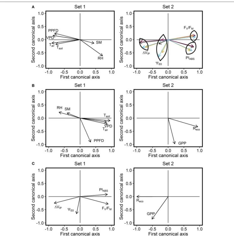 FIGURE 3 | Correlation circle derived from the Canonical Correlation Analysis (CCA). CCA was performed by combining the (A) meteorological parameters and ChlF parameters (with distinction between purple, L
