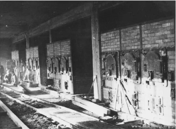 Figure 12 :  Image d'une boîte de 500g de Zyklon B, en ligne dans les  archives  officielles  d'Auschwitz,  http://en.auschwitz.org.pl/m/index.p  hp?option=com_ponygallery&amp;Itemid=3&amp;func=viewcategory&amp;catid=21