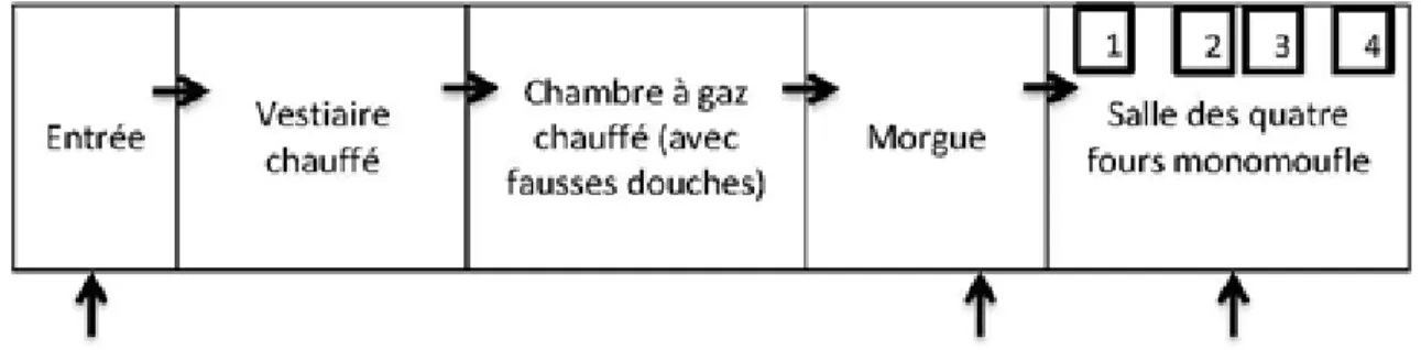 Figure 16 :  Schéma simplifié du crématoire IV de Birkenau, fait par Julie Côté, mais inspiré de  Jean-Claude Pressac, Les Crématoires d'Auschwitz, op