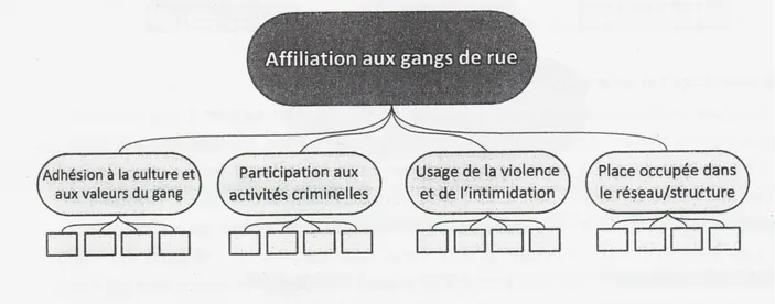 Figure 3 – Modèle multidimensionnel de l’affiliation aux gangs de rue 