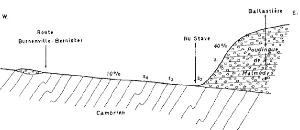 FIG.  2.  - Coupe  schématique  de  la  vallée  asymétrique  de  Burnenville. 