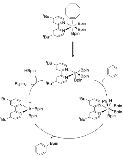 Figure 2-32: Catalytic cycle for the iridium-bipyridine-catalyzed borylation of benzene