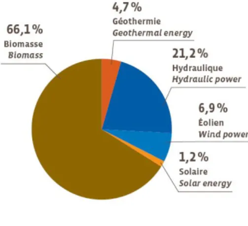 Figure 4 : Part de la biomasse solide dans la consommation d’énergie primaire renouvelable