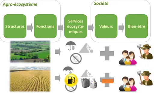 Figure 1 : Illustration du concept des services écosystémiques.
