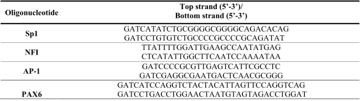 Table 2.2. DNA sequence of the primers and double-stranded oligonucleotides. 