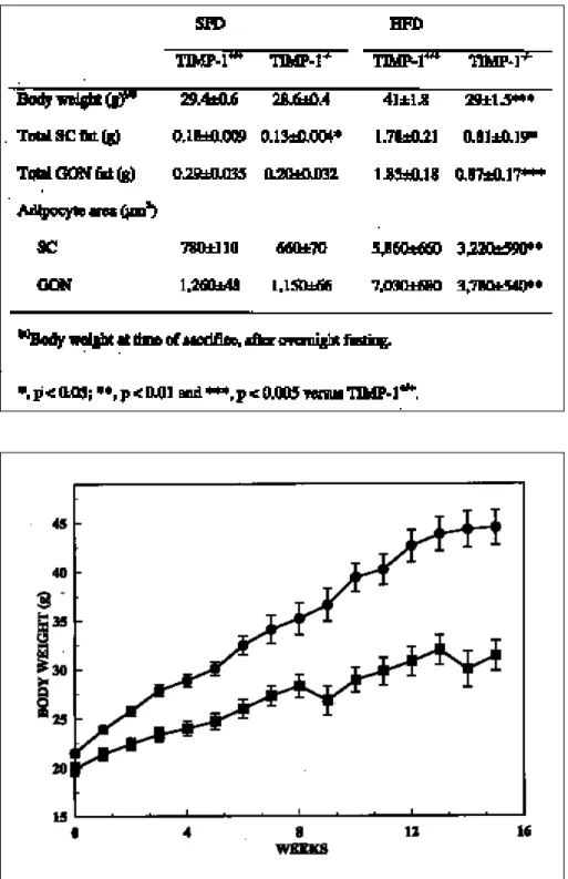 Table 1: Effect of TIMP-1 deficiency in mice on body weight gain and on adipose tissue weight and cellularity after 15 weeks of SFD or HFD.