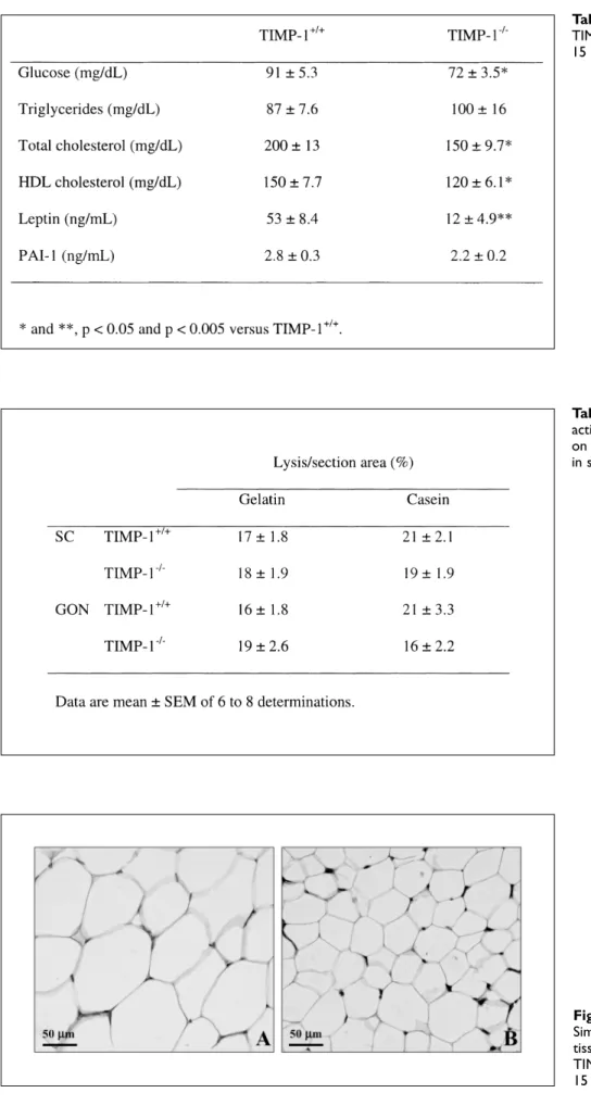 Table 2: Metabolic parameters of TIMP-1 +/+ and TIMP-1 –/– mice after 15 weeks of HFD.
