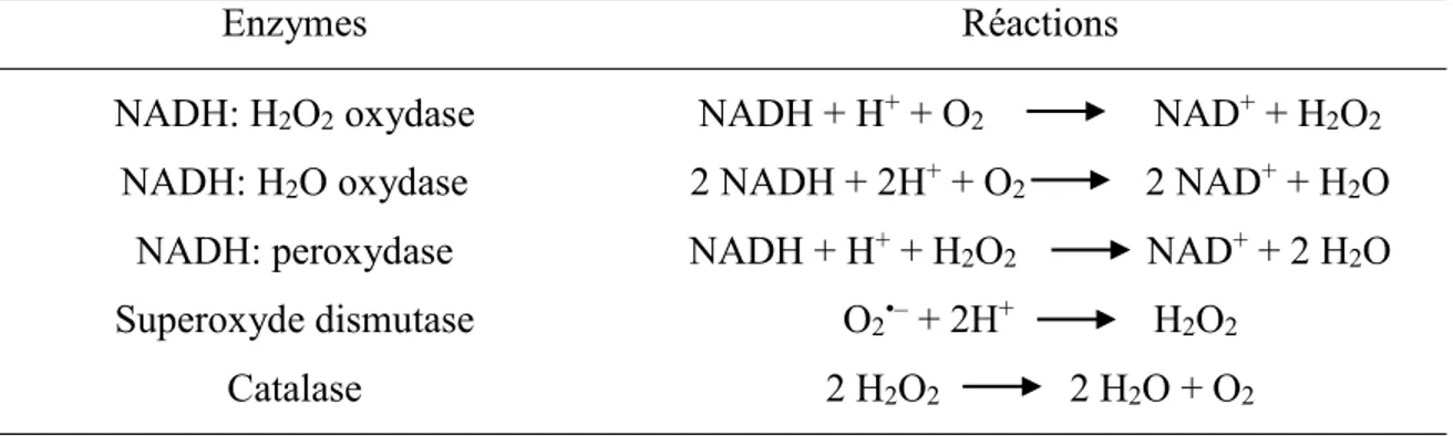 Tableau 1.1: Réactions impliquant l’oxygène ou les dérivés réactifs de l’oxygène qui sont  catalysées par certaines enzymes de souches de Lactobacillus