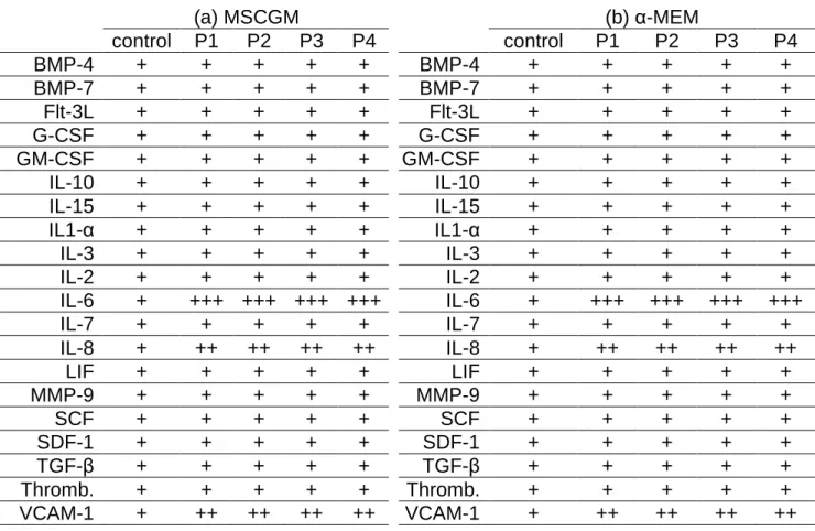 Table  1:  Presence  of  different  cytokines  in  unconditioned  medium  and  conditioned  medium MSCGM (a) or α-MEM + 20% FBS (b) at each passage