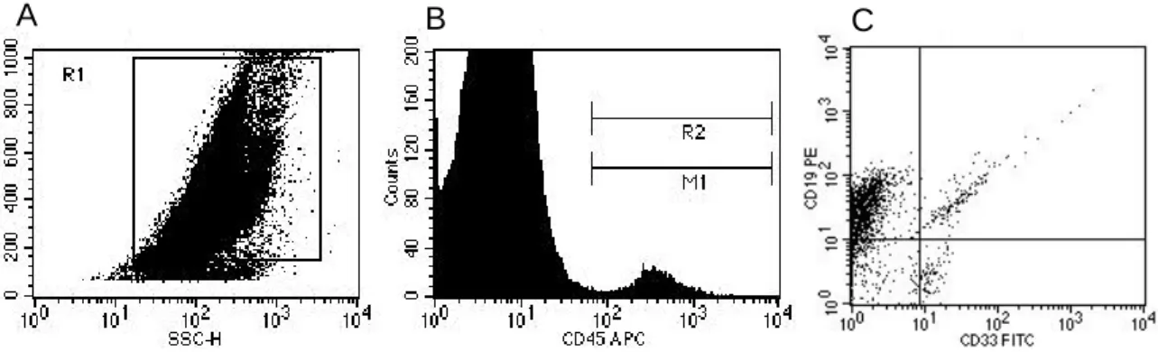 Figure  7:  Evaluation  of  multilineage  repopulation  in  mouse  2  irradiated  with  3  Gy  which received P4 MSCs