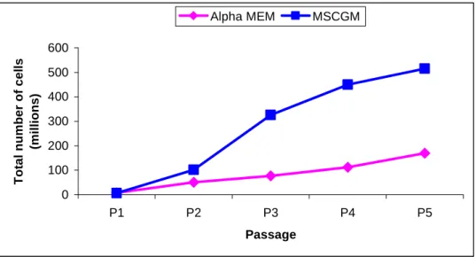 Figure  1:  Growth  curve  of  MSCs  expanded  in  α-MEM  +  20%  FBS  (in  pink)  and  in  MSCGM (in blue)