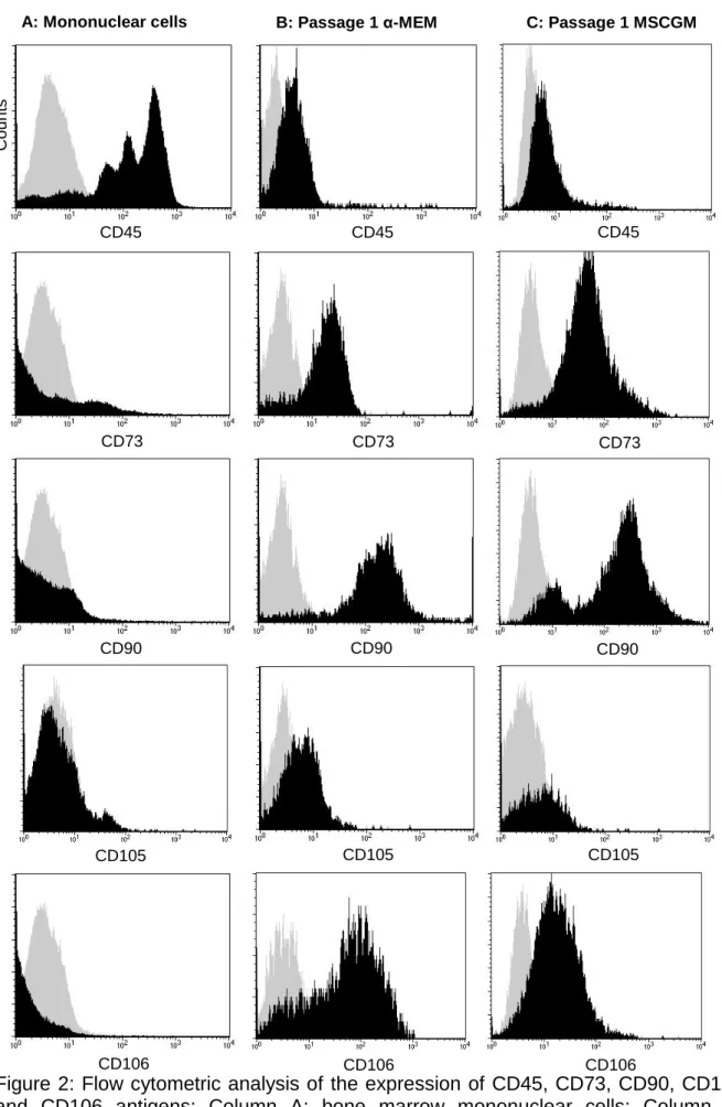 Figure 2: Flow cytometric analysis of the expression of CD45, CD73, CD90, CD105  and  CD106  antigens;  Column  A:  bone  marrow  mononuclear  cells;  Column  B: 