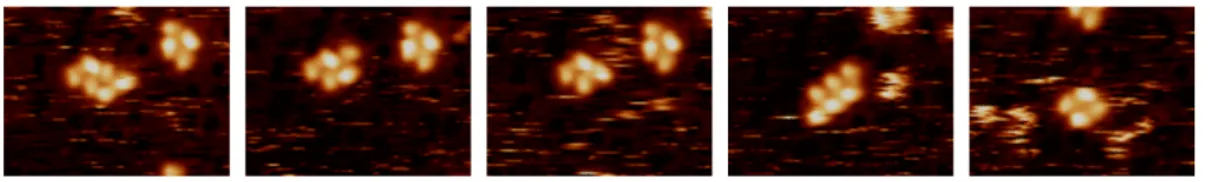 Figure 3.8: Time-lapsed images (0, 80, 160, 240, 520 s) of supramolecular assemblies of KPL and (S)-AF in a single area (6.8 by 5.1 nm 2 ) of the Pt(111) surface