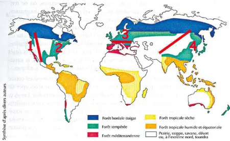 Figure 1. Séparation des 4 grands massifs de forêts tempérées de l’hémisphère Nord  (zones vertes, chiffres 1 à 4) sous l’effet de la dérive des continents et de l’érection  des chaînes alpines (lignes rouges) (extrait de Riou-Nivert, 2005, adapté)