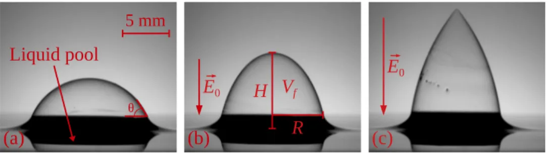 FIG. 1. Pictures of a bubble floating on a soap pool under a uniform electric field. The picture (a) shows the bubble on a liquid pool when the intensity of the electric field E 0 = 0