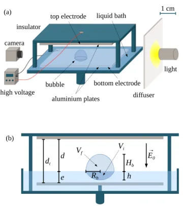 FIG. 2. Sketches of the experimental setup used for the experiments performed on floating bubbles