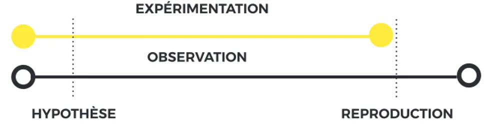 Fig 6 : Les phases de l’expérimentation.