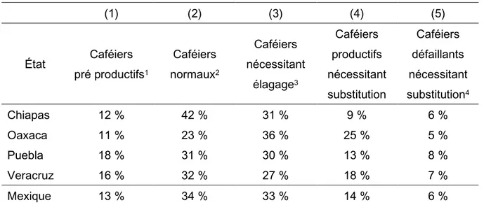 Tableau 1 : Pourcentage des caféiers dans chaque catégorie productive 