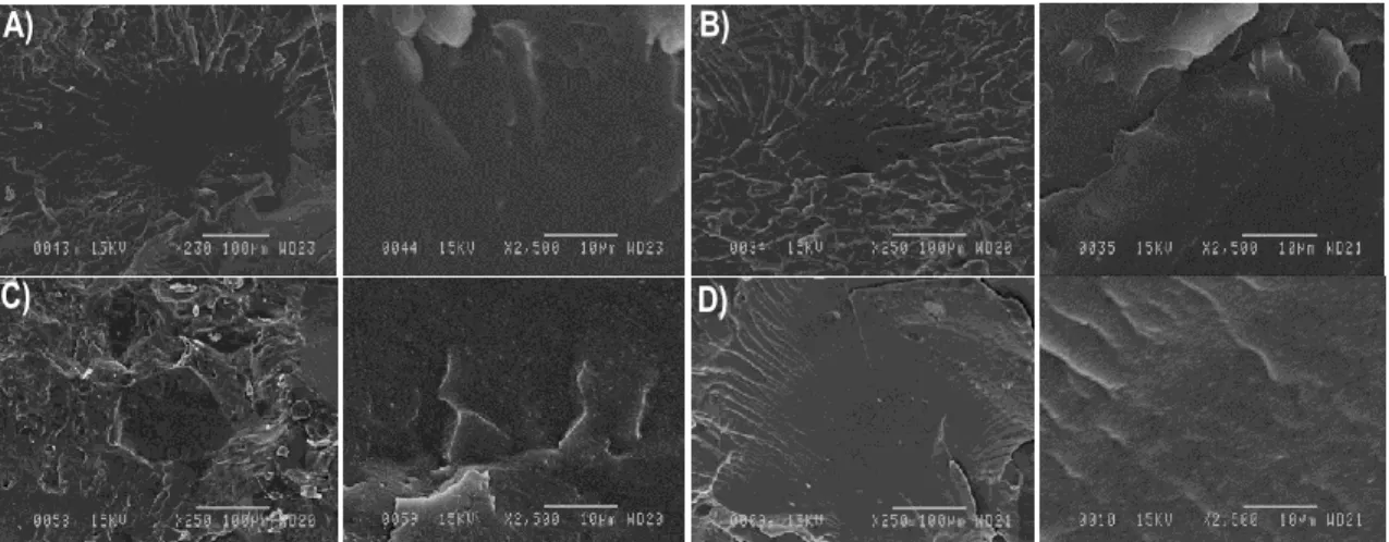 Figure 8: SEM micrographs at different magnifications for different blends: A) 11, B) 9s, C) 73, and D) 72s