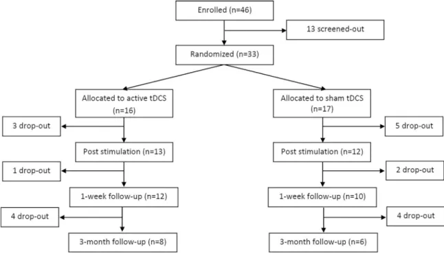 Fig. 1. Flow chart of participant enrollment, randomization and follow-up (based on the CONSORT Flow Diagram: http://www.consort-statement.org/consort-statement/ﬂow-diagram/