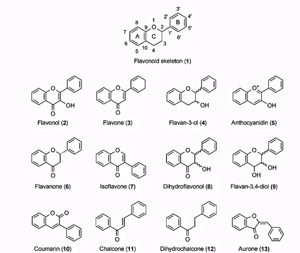 Figure 1.6. Structure de base d'un flavonoïde (1) et structures chimiques des différentes sous-classes  des flavonoïdes (2-13) (Crozier et al., 2009) 