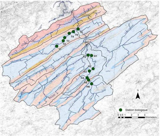 Figure 5 : Localisation des stations biologiques 