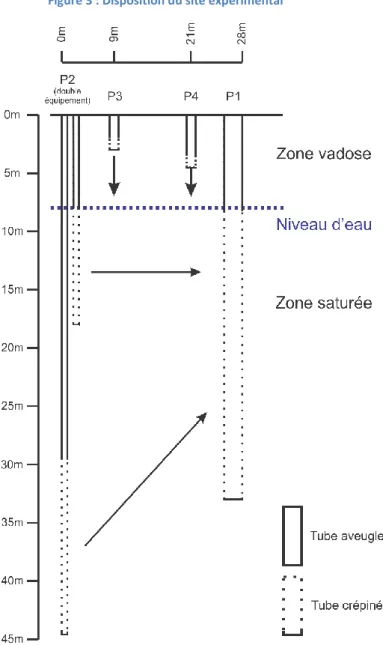 Figure 4 : Coupe schématique du site expérimental 