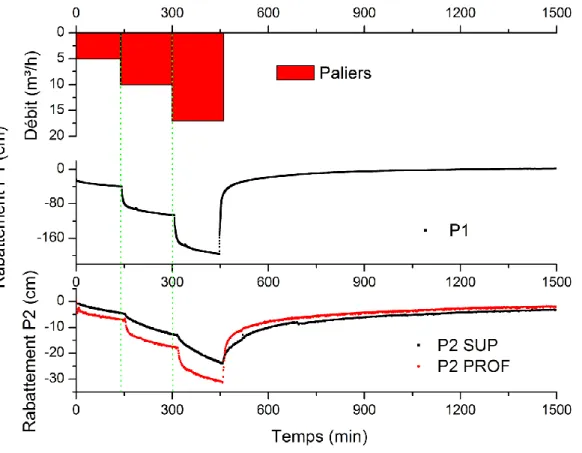 Figure 5 : Rabattement mesurés dans les piézomètres lors de l'essai de pompage par paliers 