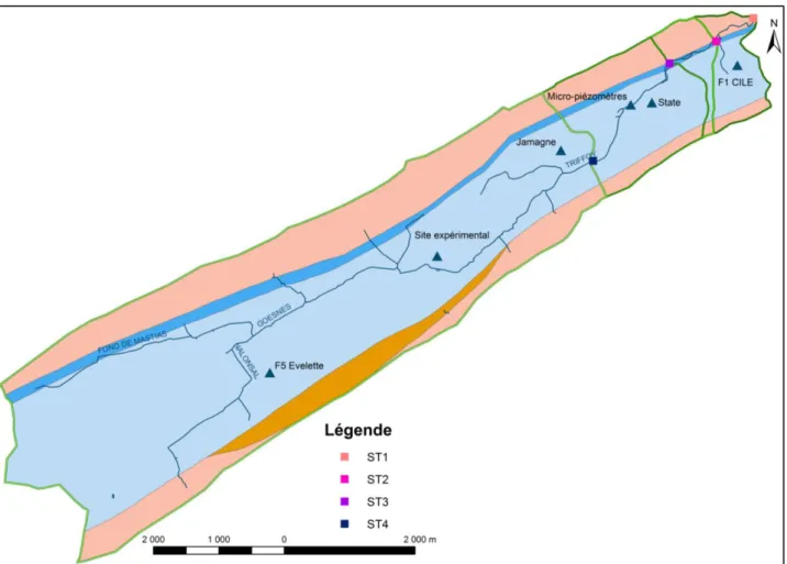 Figure 2-16 : localisation des piézomètres dans le bassin versant du Triffoy. 