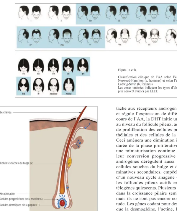 Figure 1a et b.