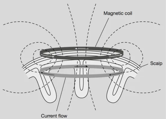 Figure 1. Courants électriques de la bobine et intracrânien 76