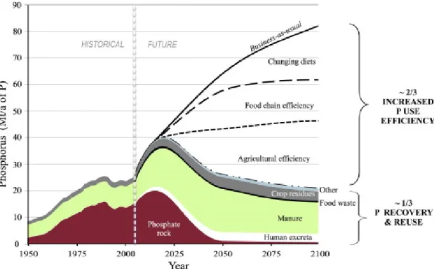 Figure 1.1 A sustainable scenario for meeting long-term future phosphorus demand (million   ton y -1 ) through increased phosphorus use efficiency and recovery (Cordell and White, 2011)