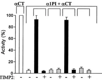 Figure 1: Quantification of ST3 catalytic domain (CD) activity. Quantification of catalytic activity was based on  the protein's capacity to inactivate α1PI, an inhibitor of αCT