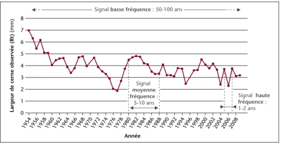 Figure 4 – Différentes fréquences de variation de la largeur de cerne au sein d’une série chronologique.
